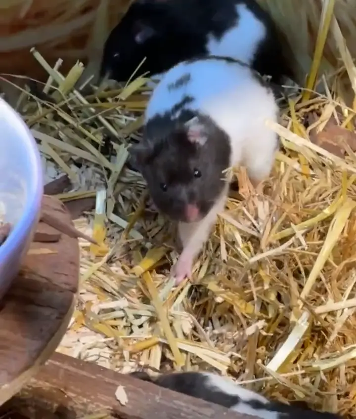 Video vom 27. Februar 2025