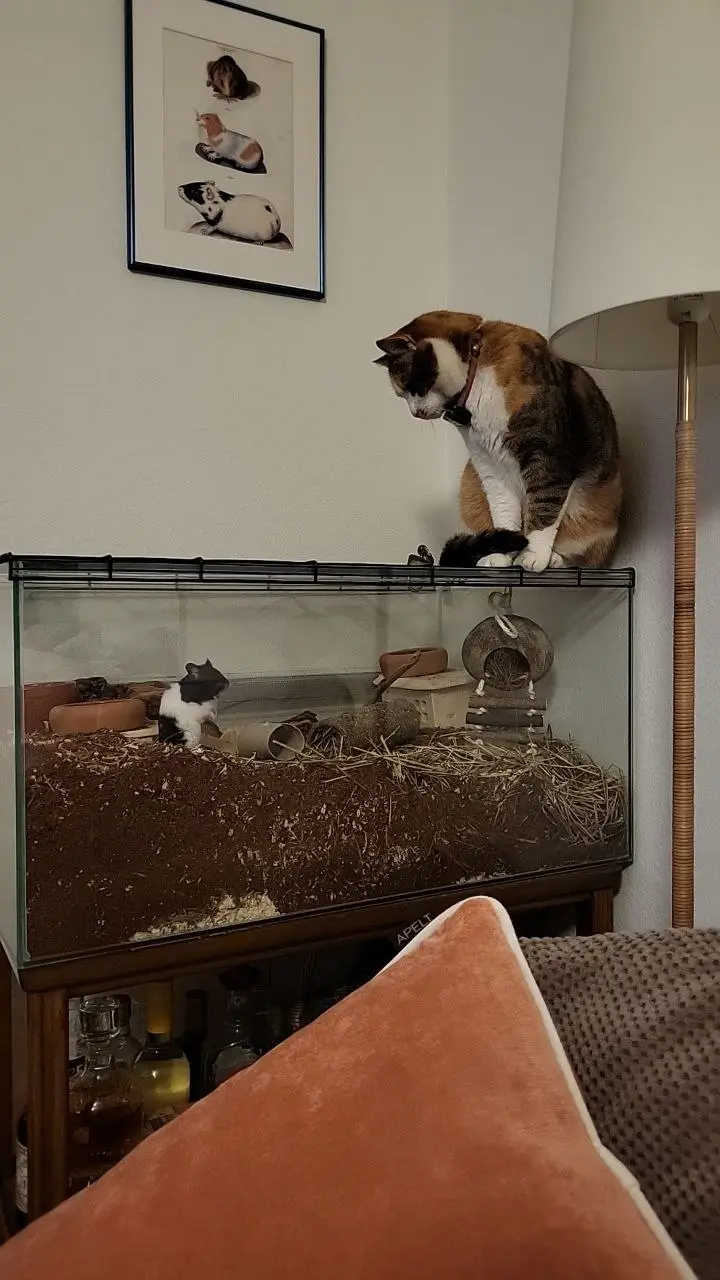 just two besties hanging out