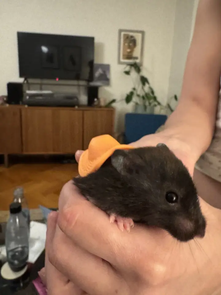 Foto vom 9. April 2025