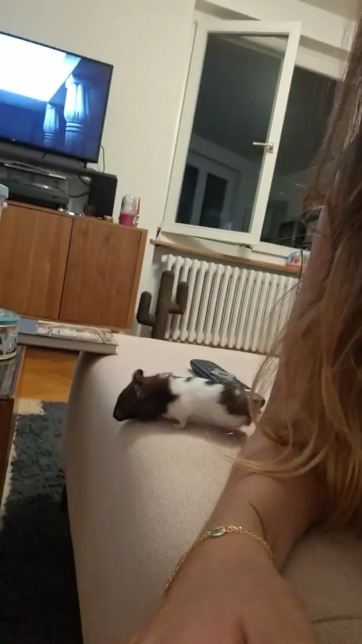 Video vom 24. August 2026